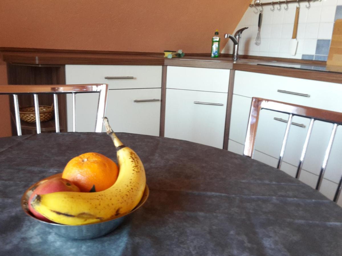 Ferienwohnung Dresden West Zewnętrze zdjęcie